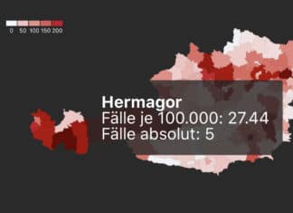 Woher kommen trotz Ausgangsbeschränkung die Corona-Neuerkrankungen in Hermagor?