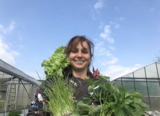 Die Gemüsefarm Würmlach ist bereit!