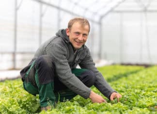 Gemüsebauer Kunz – Ab 16. April startet das beliebte Gemüsekisterl