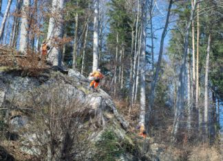 Forstunfall im Gitschtal: 69-jähriger Mann verletzt
