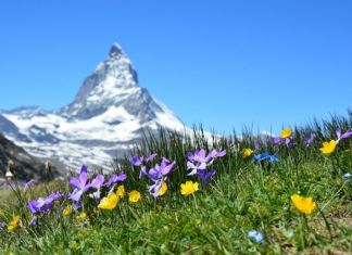 Landessubvention für Kärntens alpine Vereine