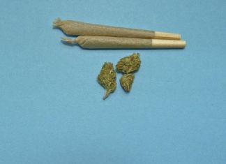 Suchtmitteldelikt in Hermagor angezeigt