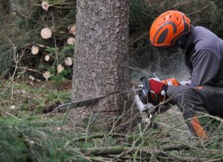 Forstunfall im Lesachtal!