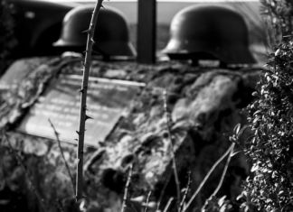 8. Mai 1945 – Gedenken an die Befreiung Österreichs