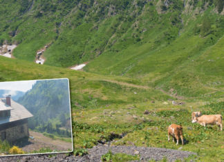 Käseanschnitt auf der Großfrondell Alm