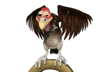 Insolvenzverfahren: Zsuzsanna Horvath, Imbissbetreiberin