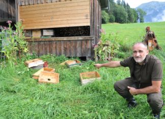 Bärenbesuch