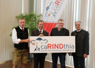 Kärntner Rinderzucht unter einem Dach