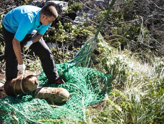 Bundesheer birgt 279 kg Munition aus dem Ersten Weltkrieg