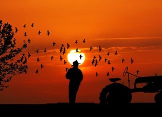 Traktorunfall mit tödlichem Ausgang