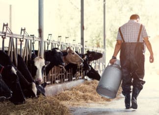 Stallarbeit trotz Quarantäne möglich!