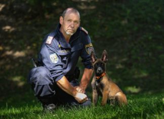 Partner auf vier Pfoten: neuer Junghund bei der LPD Kärnten