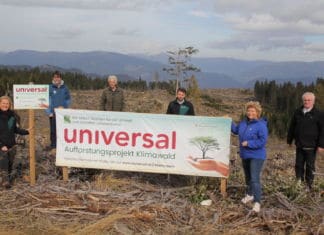 Aufforstung im Naturpark Dobratsch: 5000 Universal-Bäumchen als Beitrag für den Klimaschutz