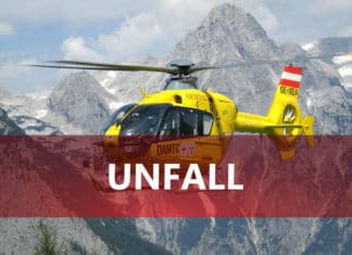 Bei Forstarbeiten vom Baum getroffen: Arbeiter (41) bewusstlos