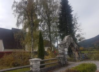 Kirchengemeinderat ließ alle Birken und Nadelbäume schlägern
