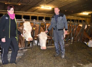 Tausche Kehrbesen gegen Melkgeschirr!