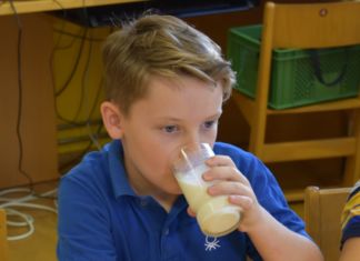 Wer Schulmilch trinkt, hat mehr davon