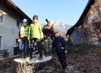 Wegen Gefahr in Verzug – Linde ade`