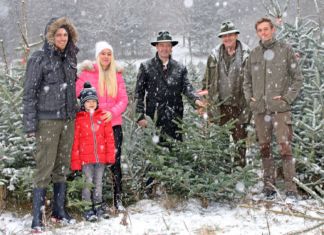 Heimische Christbäume bereiten mehr Freude