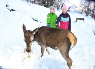 „Grete“ fand neue Heimat