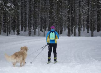 Herrlicher Langlaufgenuß im Gailtal wird von Hundebiss getrübt!