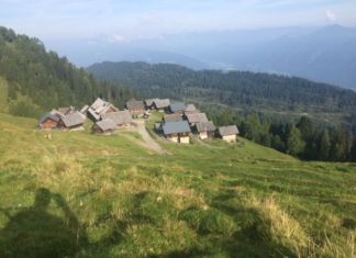 Poludnig Alm sucht Halter