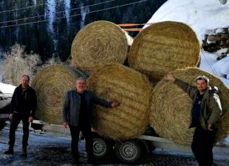 Futterspende für das notleidende Rotwild