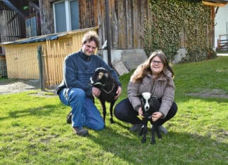 Darum soll das Hundegackerl ins Sackerl
