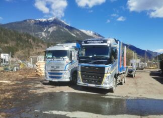 LKW-Fahrer(in) für Rundholztransporte gesucht!