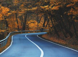 Künstliche Intelligenz kommt künftig beim Straßenbau zum Einsatz