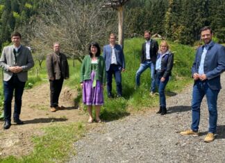 Urlaub in Kärnten Übernachtung in einer Bienenwabe?