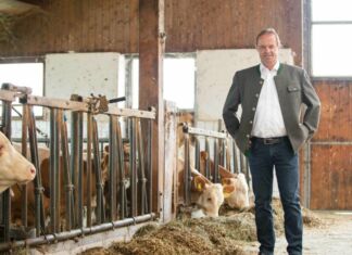 Billige Produkte aus dem Ausland: Druck auf die heimischen Milchbauern steigt