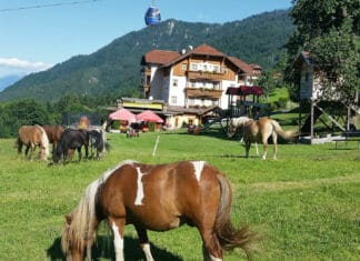Willkommen auf der Sonnenterrasse!