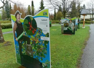 „Nächster Halt – Arnoldstein!“