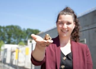 Auszeichnung „Die Goldenen Unke“