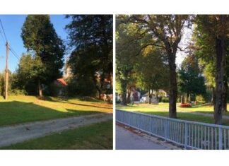 Kunstaktion & Vernissage PRO MÜHLBACH