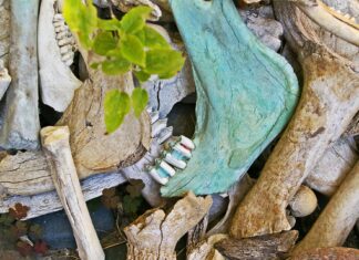 Menschliche Knochen bei Abrissarbeiten gefunden