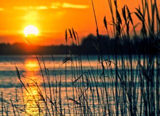 Heute ist der längste Tag des Jahres