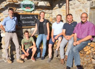Teamwork auf der Alm