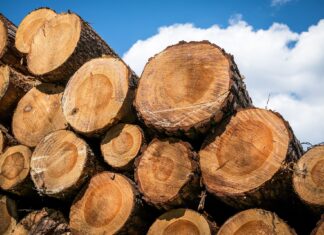 Die Santners Erben GmbH sucht Mitarbeiter!