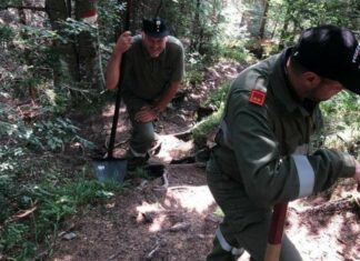 Wanderer entdeckten Waldbrand am Mittagsnock