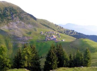 Grenzüberschreitende Begegnung auf der Feistritzer Alm