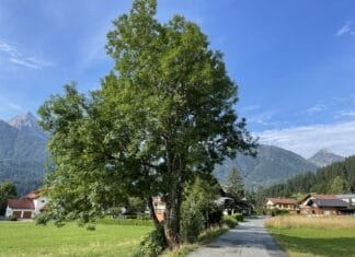Tödlicher Verkehrsunfall in Kötschach- Mauthen