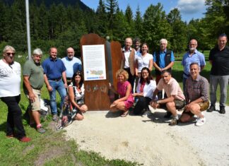 Seelehrpfad Weißensee Ostufer: Naturpark ohne Hürden genießen
