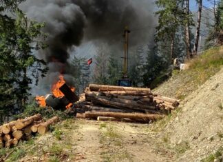 Bei Holzarbeiten: Radbagger geriet in Brand