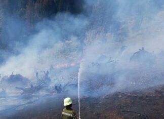 Großeinsatz der Feuerwehren: Waldbrand erneut ausgebrochen