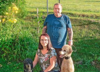 Die Ausstellungs- und Herzenshunde von Familie Strebinger
