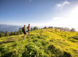 Goldenes Sommer-Finale