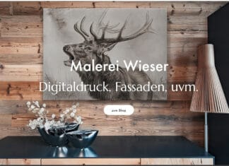 Malerei Wieser- Kreativ im Netz