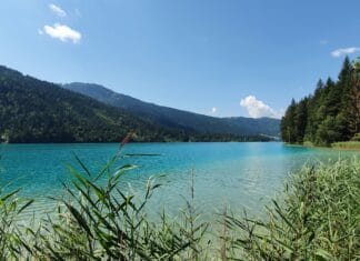 Rekord an gesunden Betrieben: BGF-Boom trotz Corona!